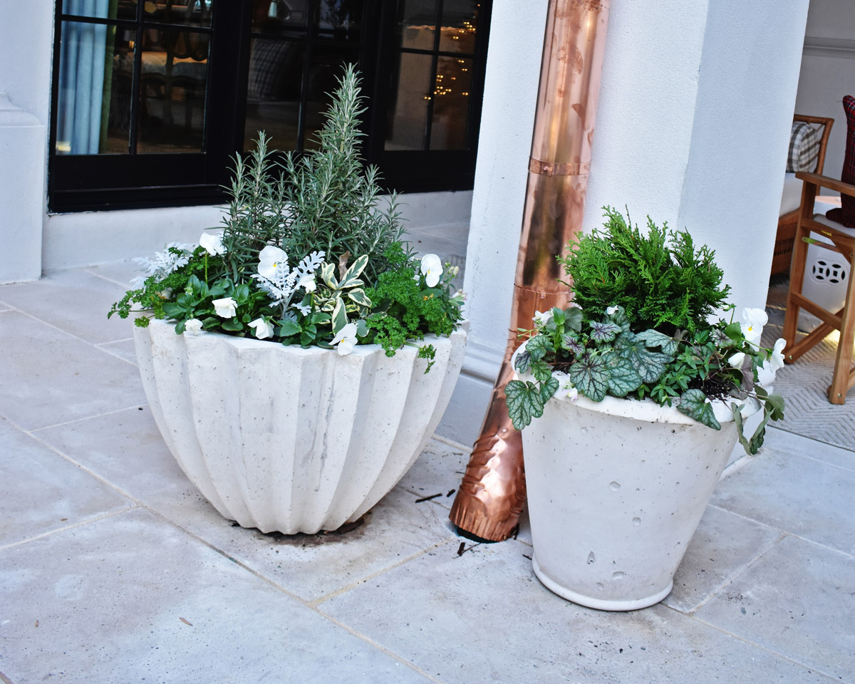 Concrete potting comes in a diverse range of designs